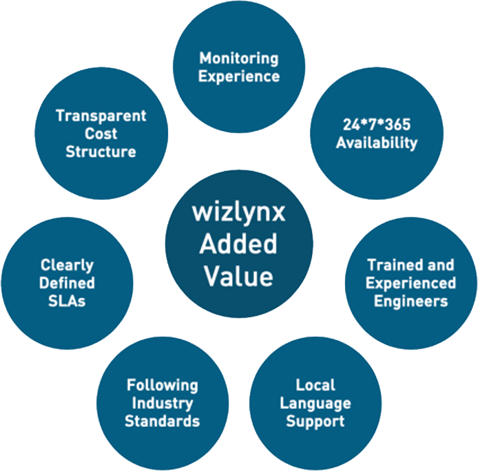 wizlynx Added Values